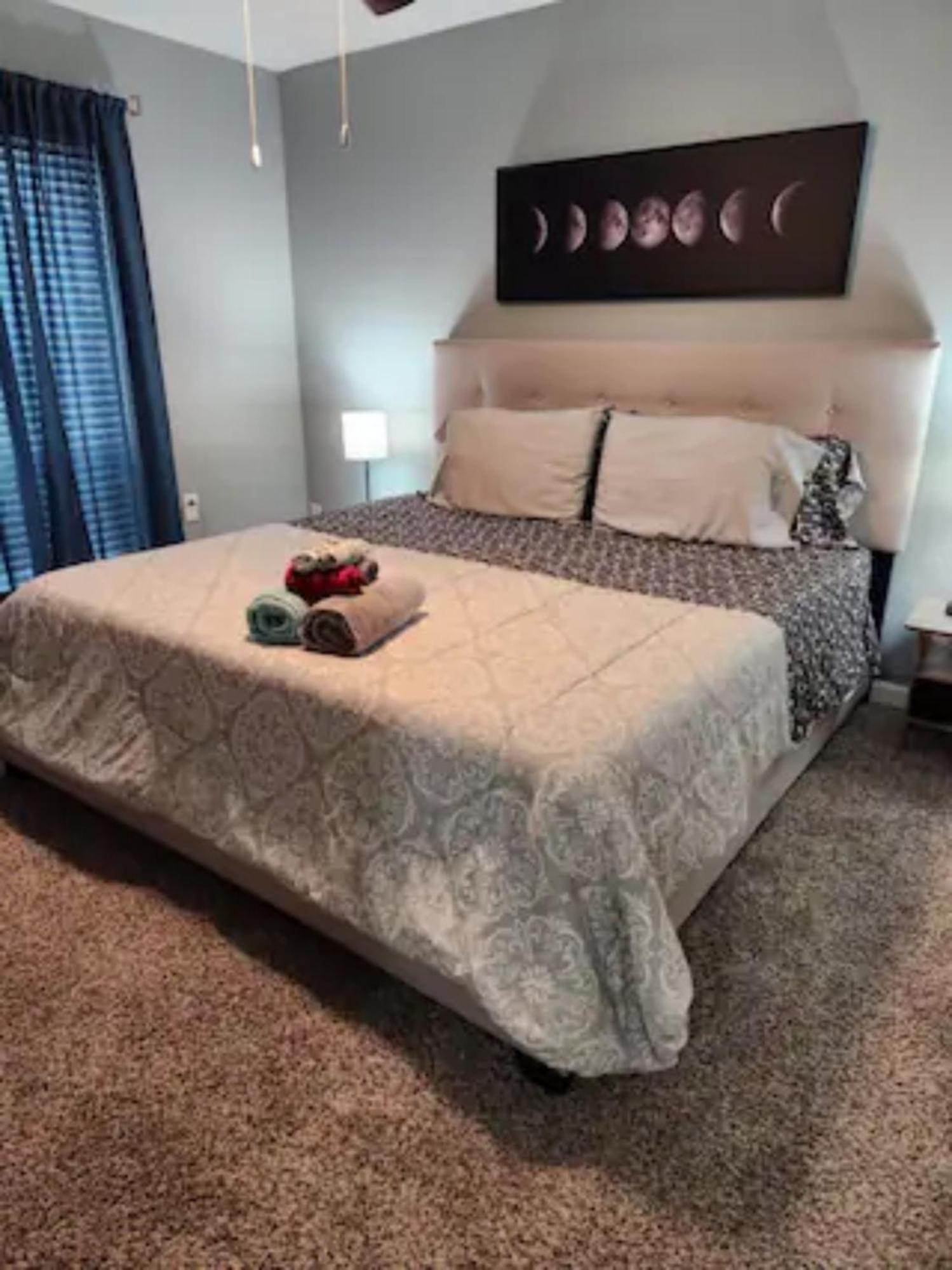 Blue Shark *B501* @ Medical Center 1Br Modern King Apartment With Private Patio Houston Ngoại thất bức ảnh